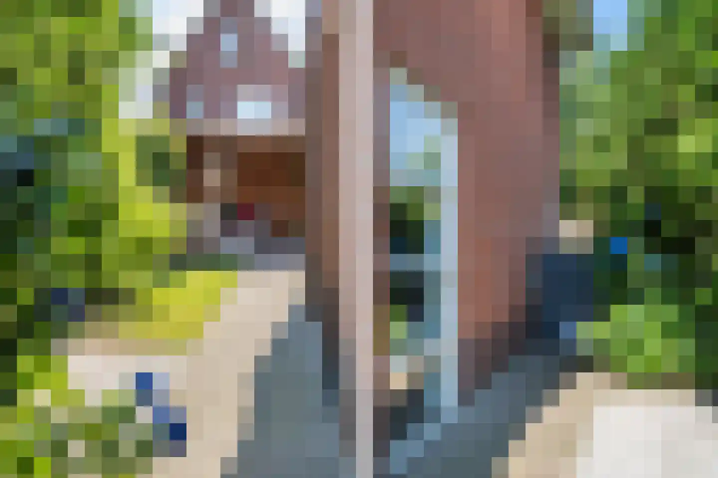 Keizersmantel 8 Hoogeveen thumbnail 38