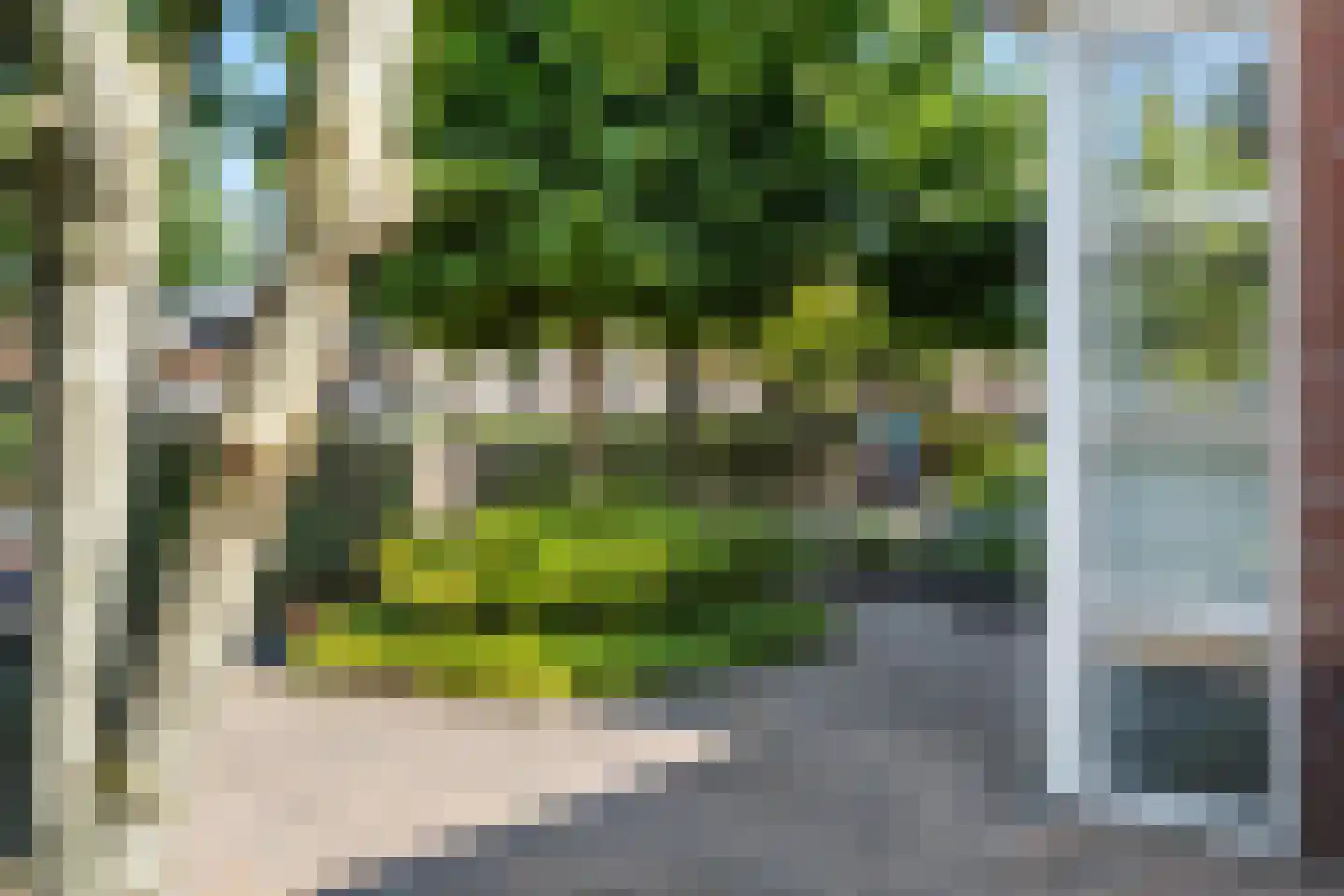 Keizersmantel 8 Hoogeveen thumbnail 41