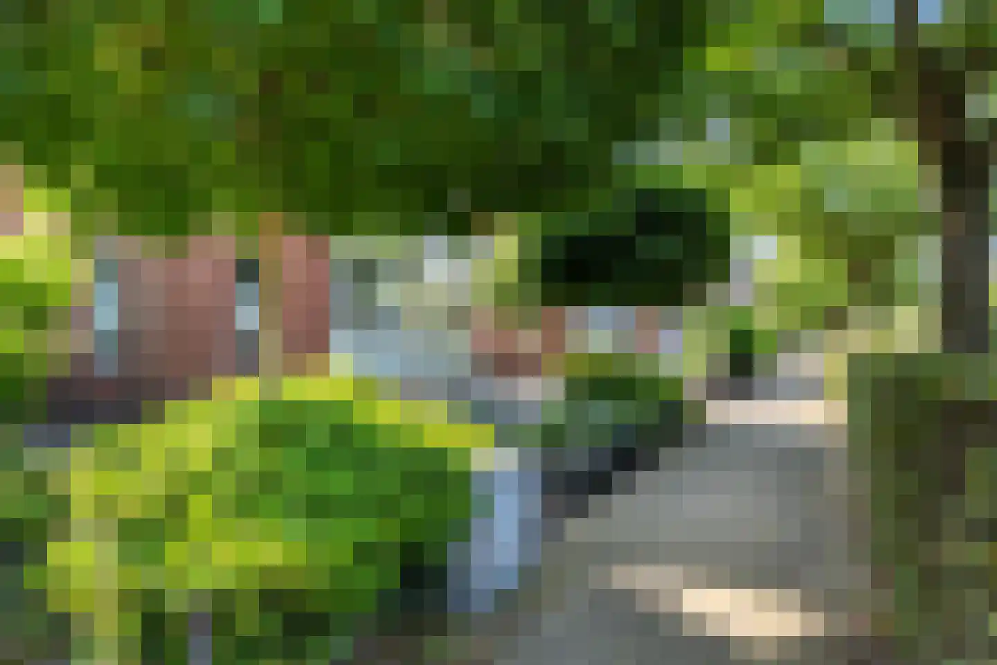 Keizersmantel 8 Hoogeveen thumbnail 42