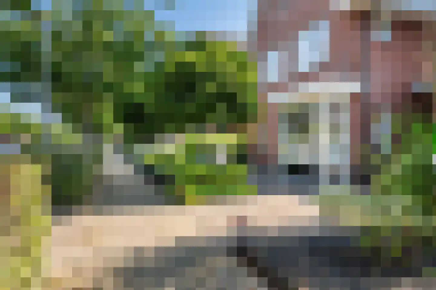 Keizersmantel 8 Hoogeveen thumbnail 43