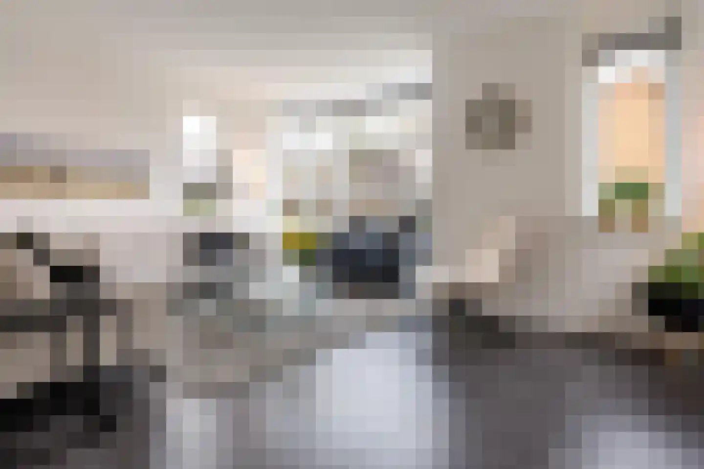 Keizersmantel 8 Hoogeveen thumbnail 7