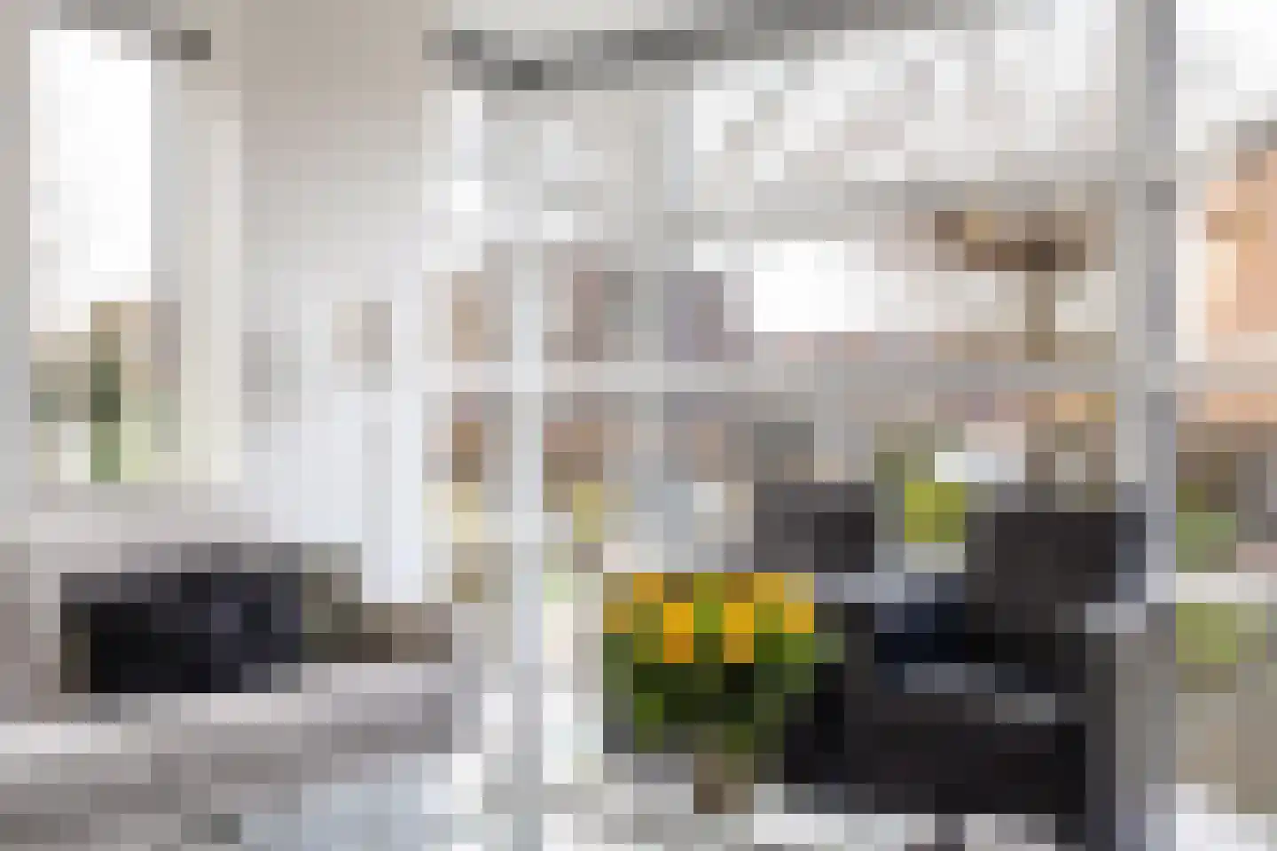 Keizersmantel 8 Hoogeveen thumbnail 9