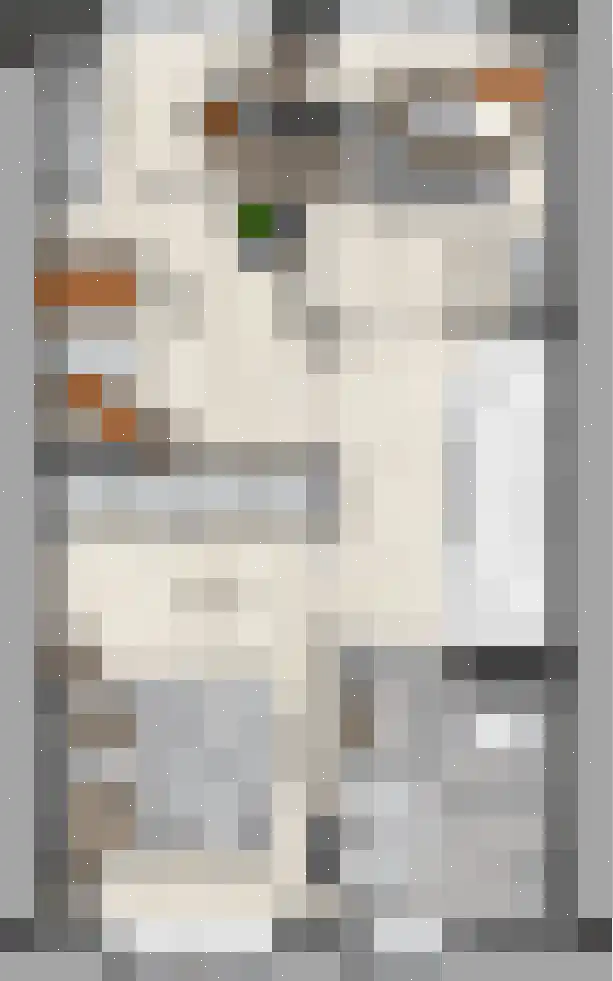 Keizersmantel 9 Driebruggen thumbnail 5