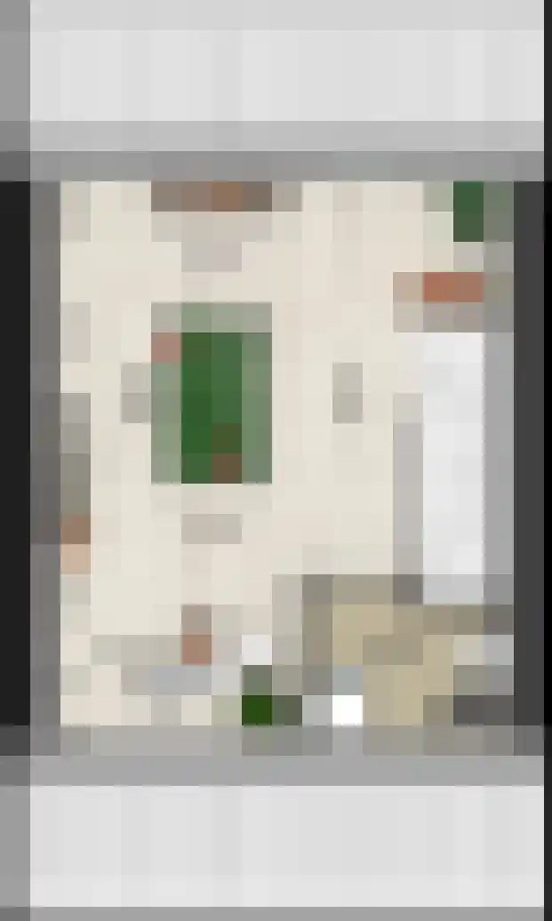 Keizersmantel 9 Driebruggen thumbnail 6