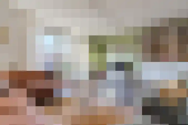 Keizersmantel 90 Hoogeveen thumbnail 17