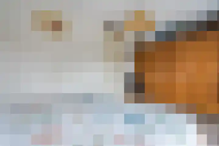 Keizersmantel 90 Hoogeveen thumbnail 31