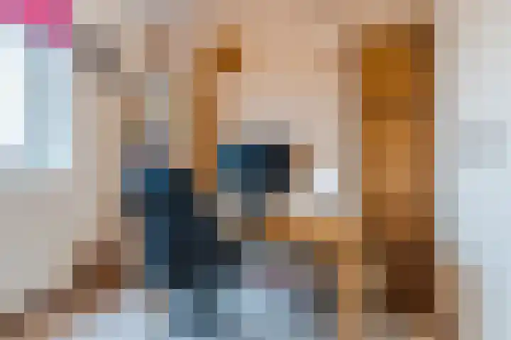 Keizersmantel 90 Hoogeveen thumbnail 37
