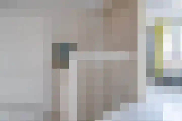 Keizersmantel 90 Hoogeveen thumbnail 43