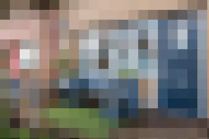 Keizersmantel 90 Hoogeveen thumbnail 8