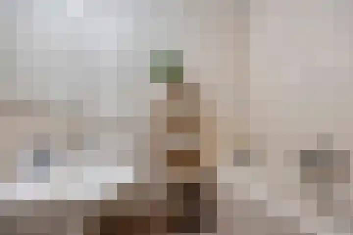 Keizersmantelstraat 17 Rosmalen thumbnail 32