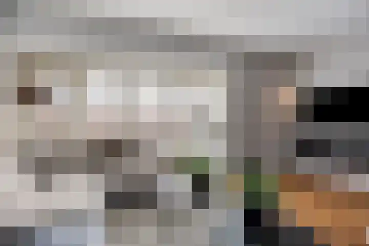 Keizersmantelstraat 17 Rosmalen thumbnail 4