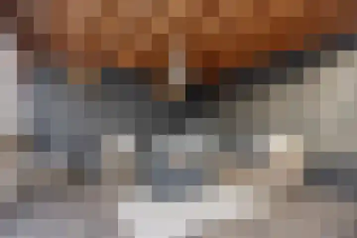 Keizersmantelstraat 17 Rosmalen thumbnail 52