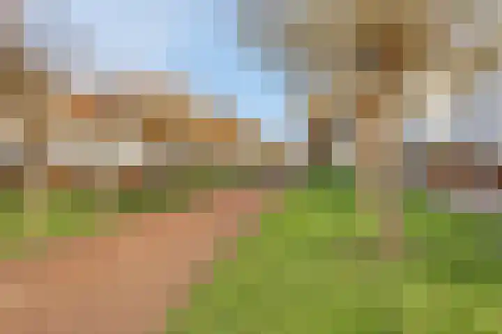 Keizersmantelstraat 17 Rosmalen thumbnail 61