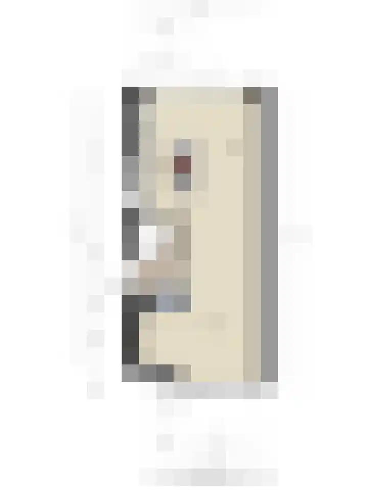 Keizersmantelstraat 17 Rosmalen thumbnail 65