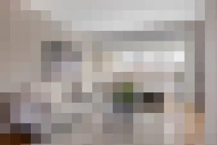 Keizersmantelstraat 17 Rosmalen thumbnail 9
