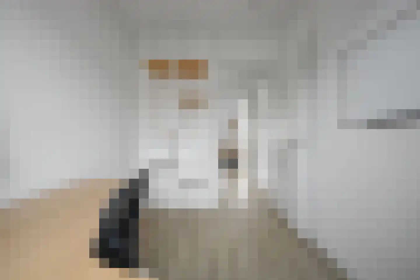 Keizersmantelstraat 18 Rijswijk thumbnail 28