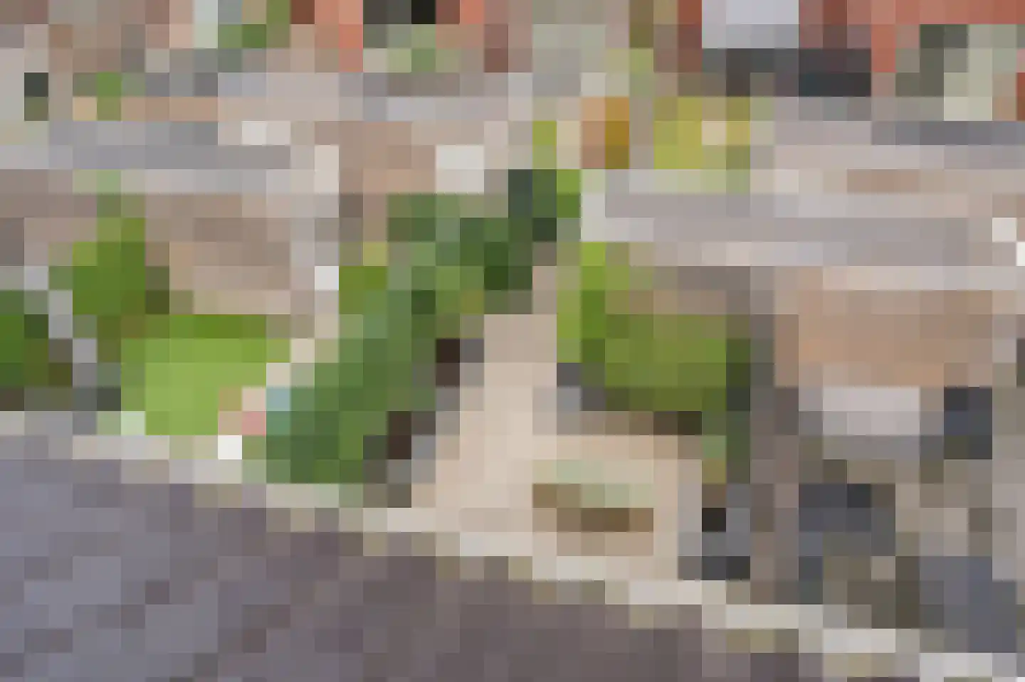 Keizersmantelstraat 18 Rijswijk thumbnail 43