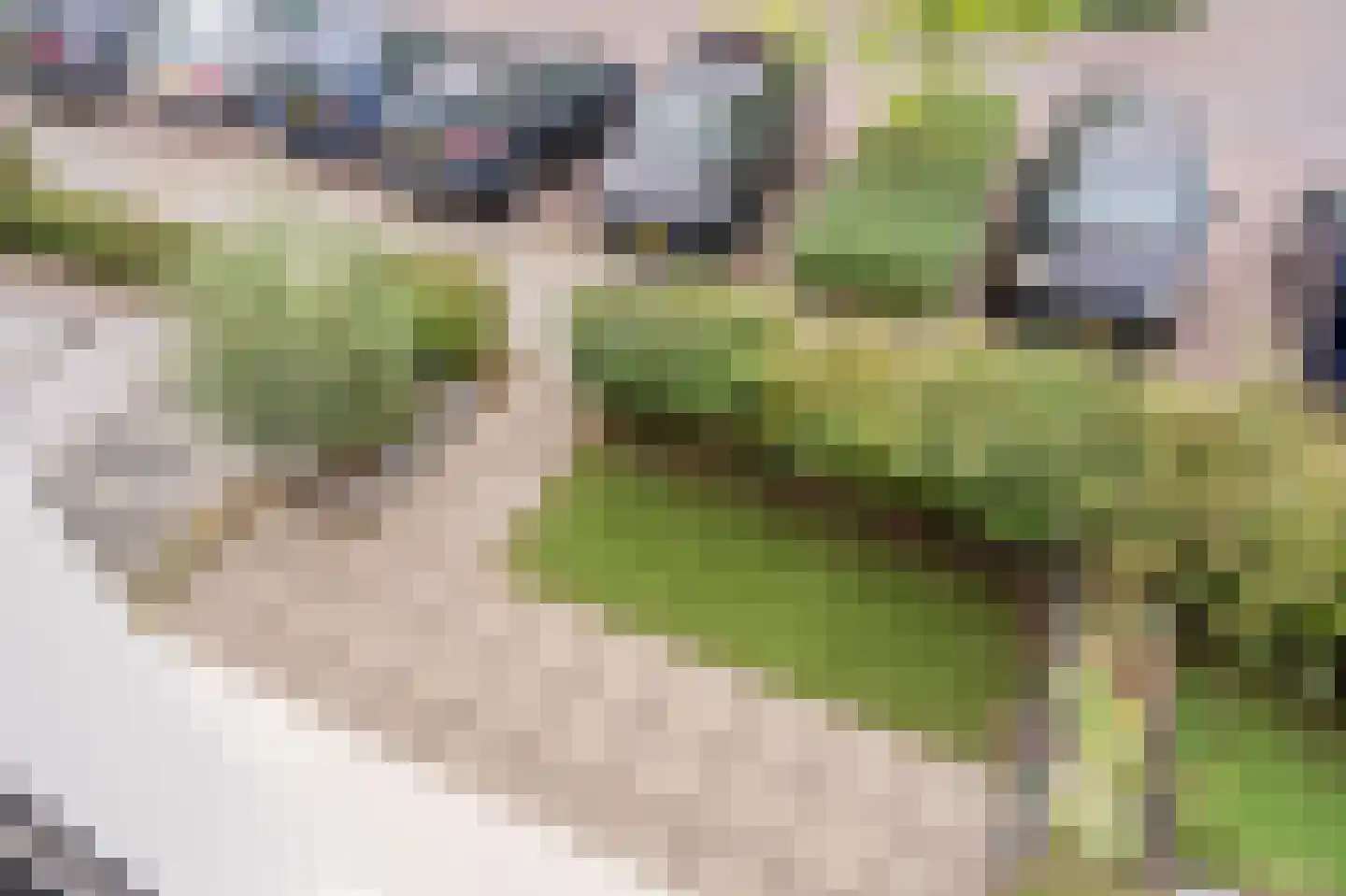 Keizersmantelstraat 18 Rijswijk thumbnail 44