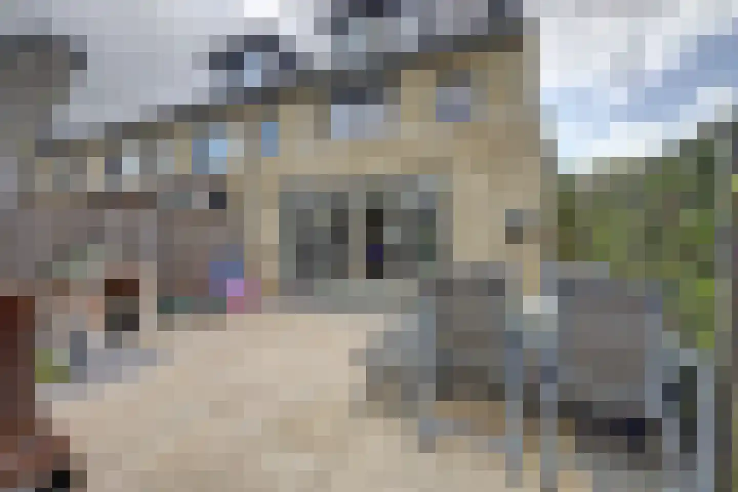 Keizersmantelweg 490 Hoogvliet Rotterdam thumbnail 6