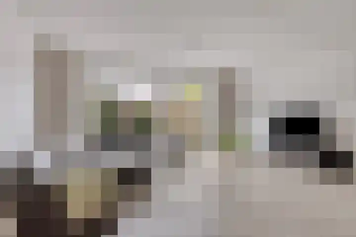Keizersmantelzoom 10 Pijnacker thumbnail 11