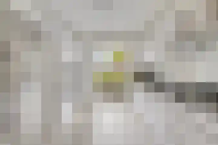 Keizersmantelzoom 10 Pijnacker thumbnail 14