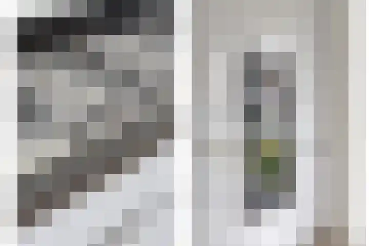 Keizersmantelzoom 10 Pijnacker thumbnail 16