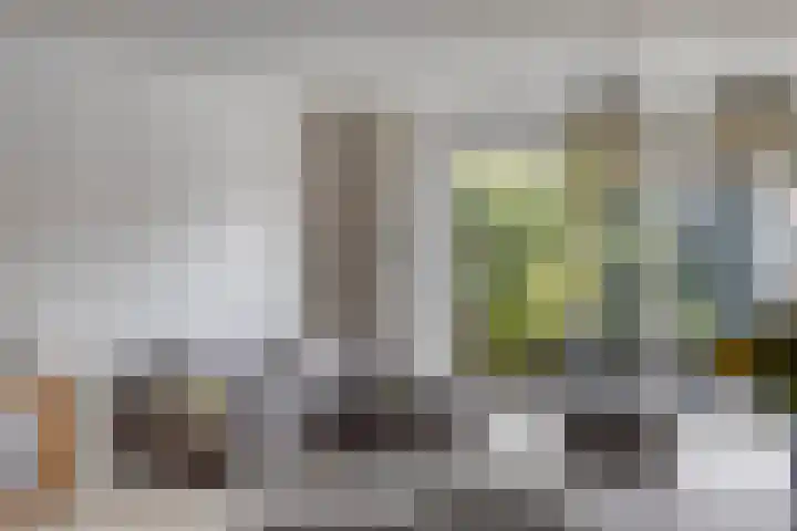 Keizersmantelzoom 10 Pijnacker thumbnail 17