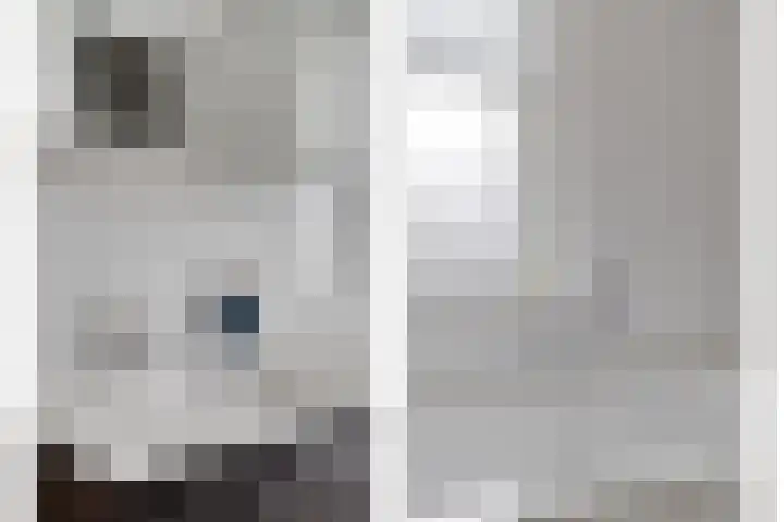 Keizersmantelzoom 10 Pijnacker thumbnail 22
