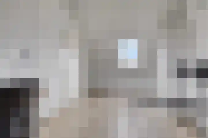 Keizersmantelzoom 10 Pijnacker thumbnail 27