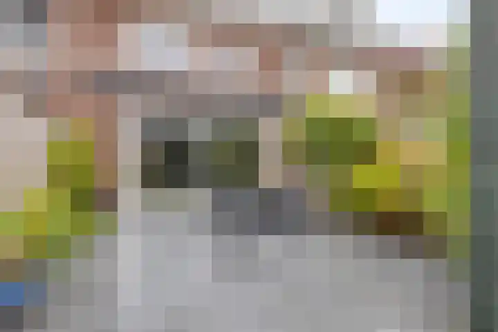 Keizersmantelzoom 10 Pijnacker thumbnail 30