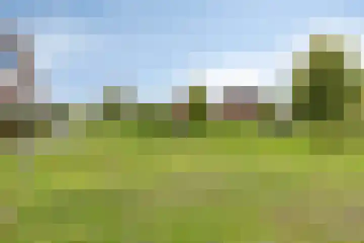 Keizersmantelzoom 10 Pijnacker thumbnail 33
