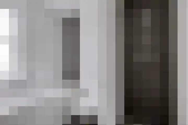 Keizersmantelzoom 10 Pijnacker thumbnail 4