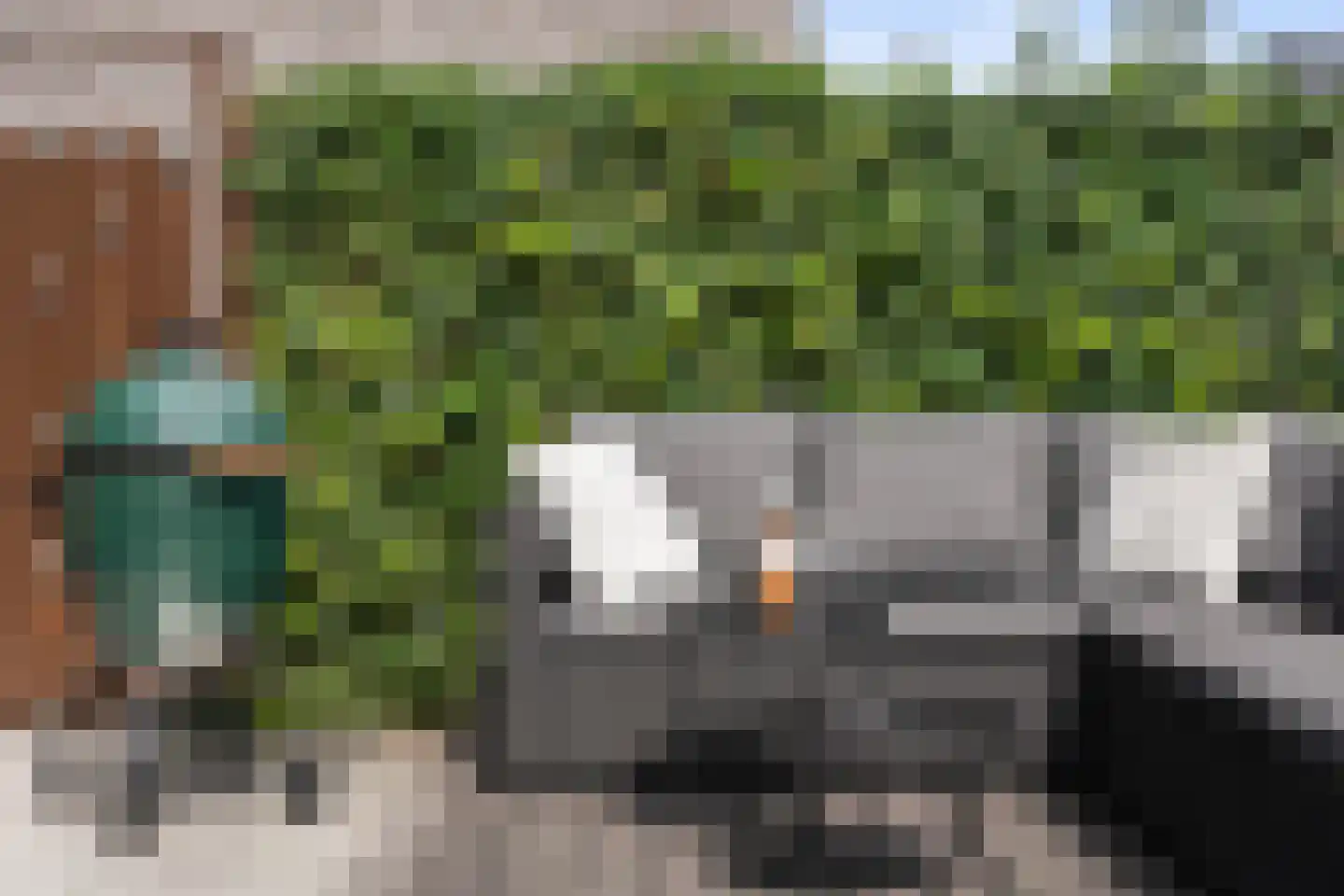 Keizersmantelzoom 15 Pijnacker thumbnail 14