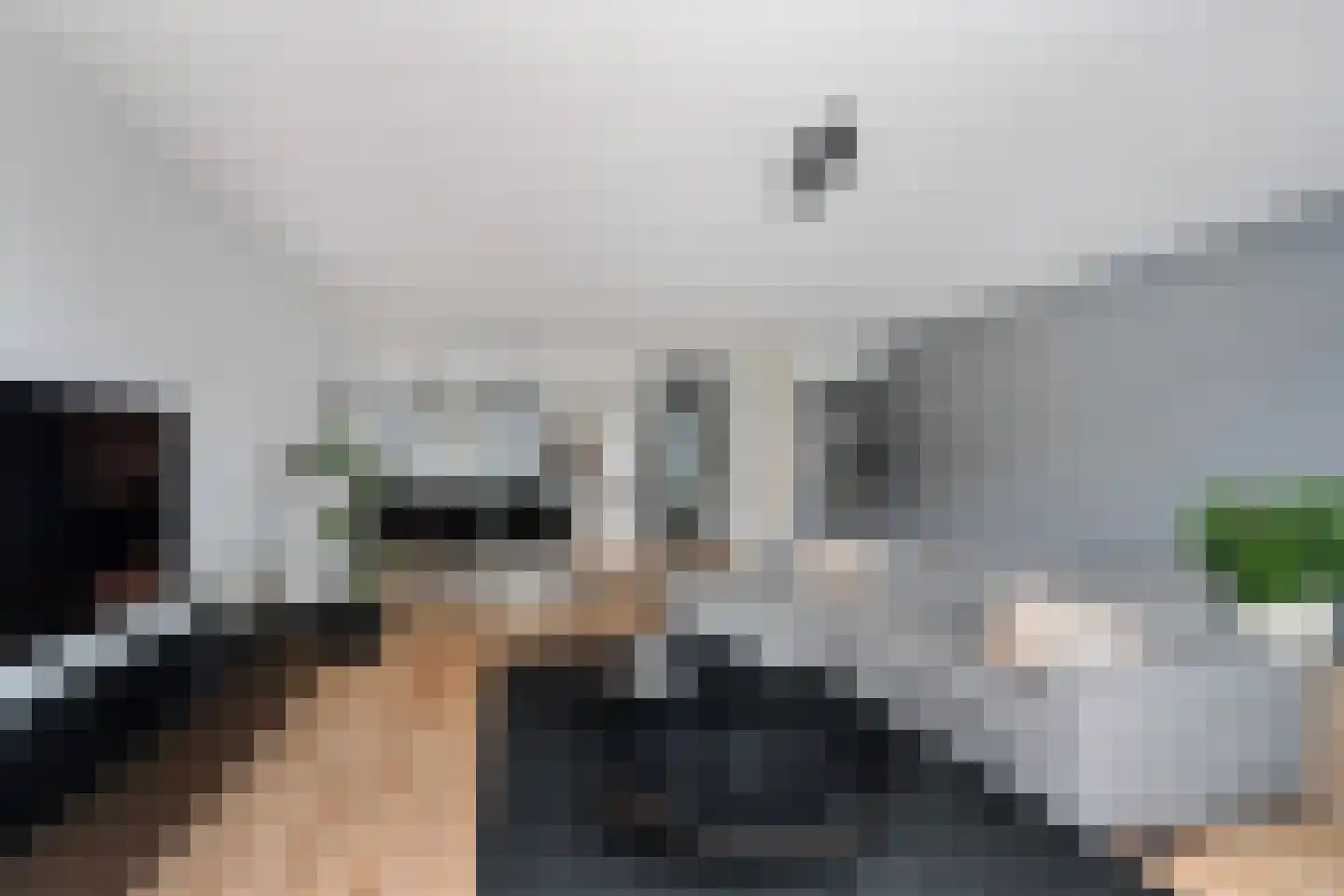 Keizersmantelzoom 15 Pijnacker thumbnail 18