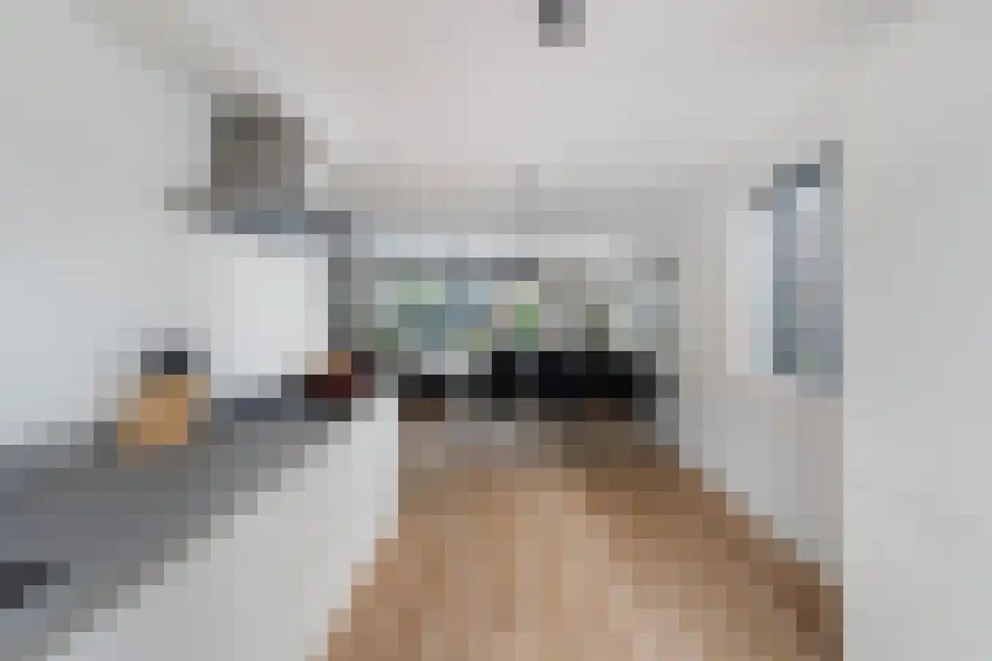 Keizersmantelzoom 15 Pijnacker thumbnail 23