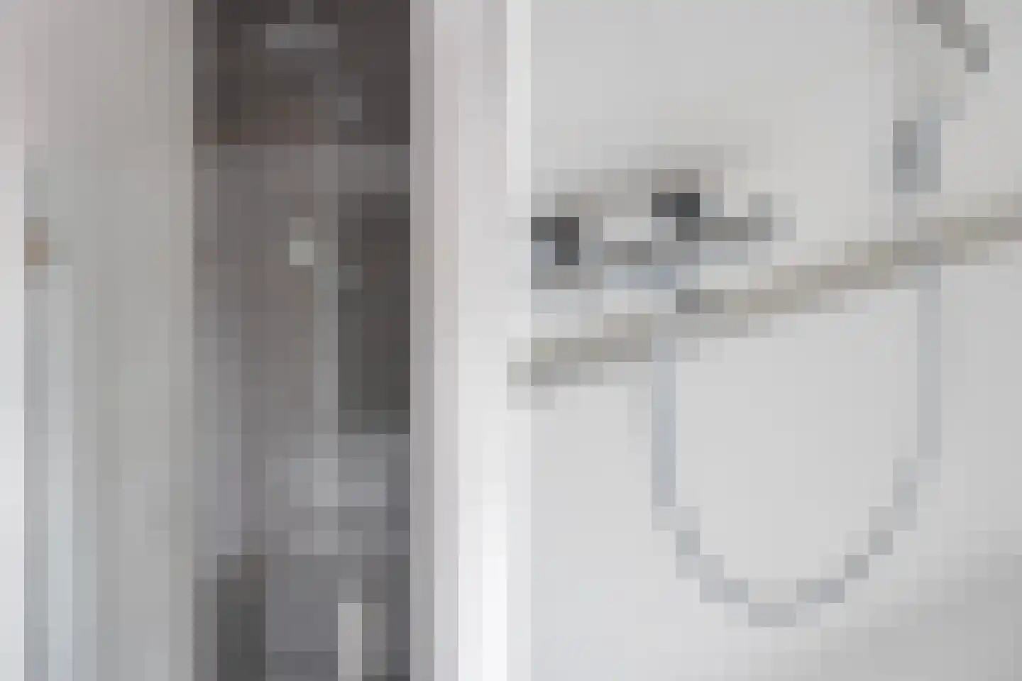 Keizersmantelzoom 15 Pijnacker thumbnail 30