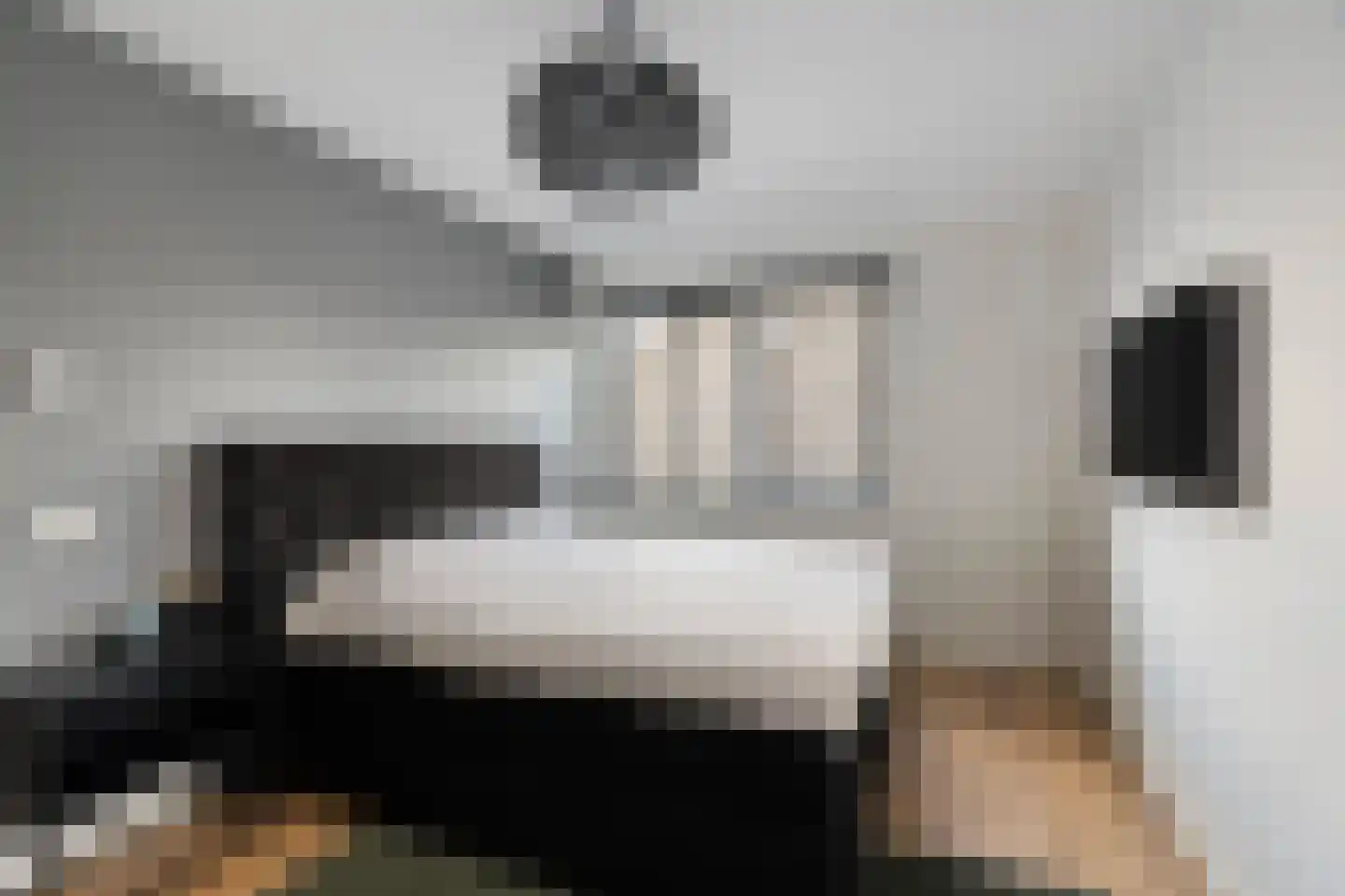 Keizersmantelzoom 15 Pijnacker thumbnail 31