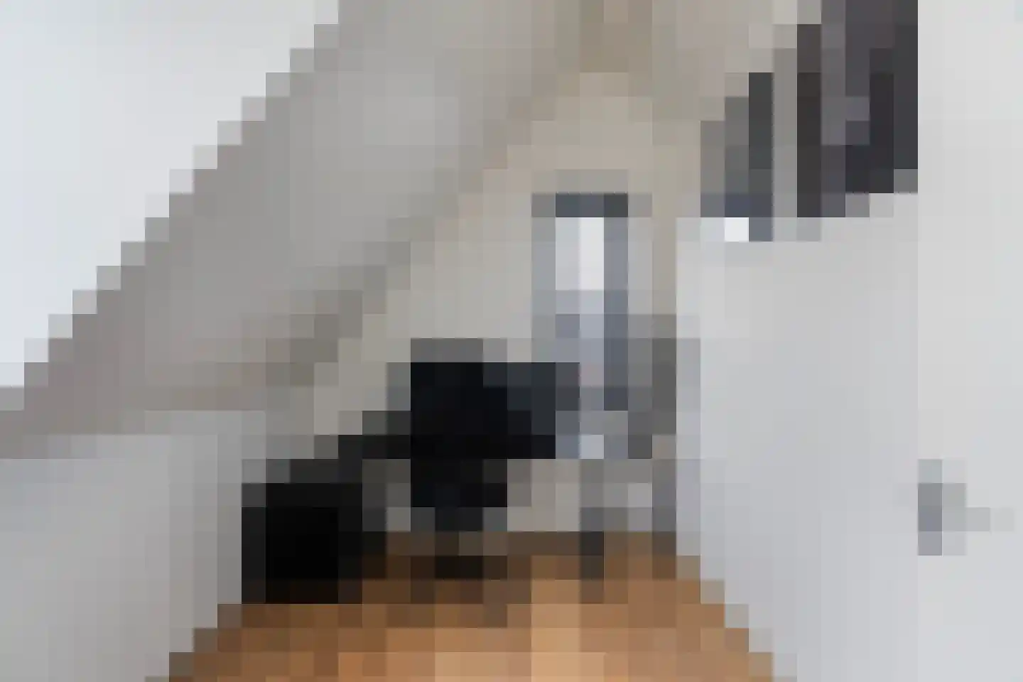 Keizersmantelzoom 15 Pijnacker thumbnail 35