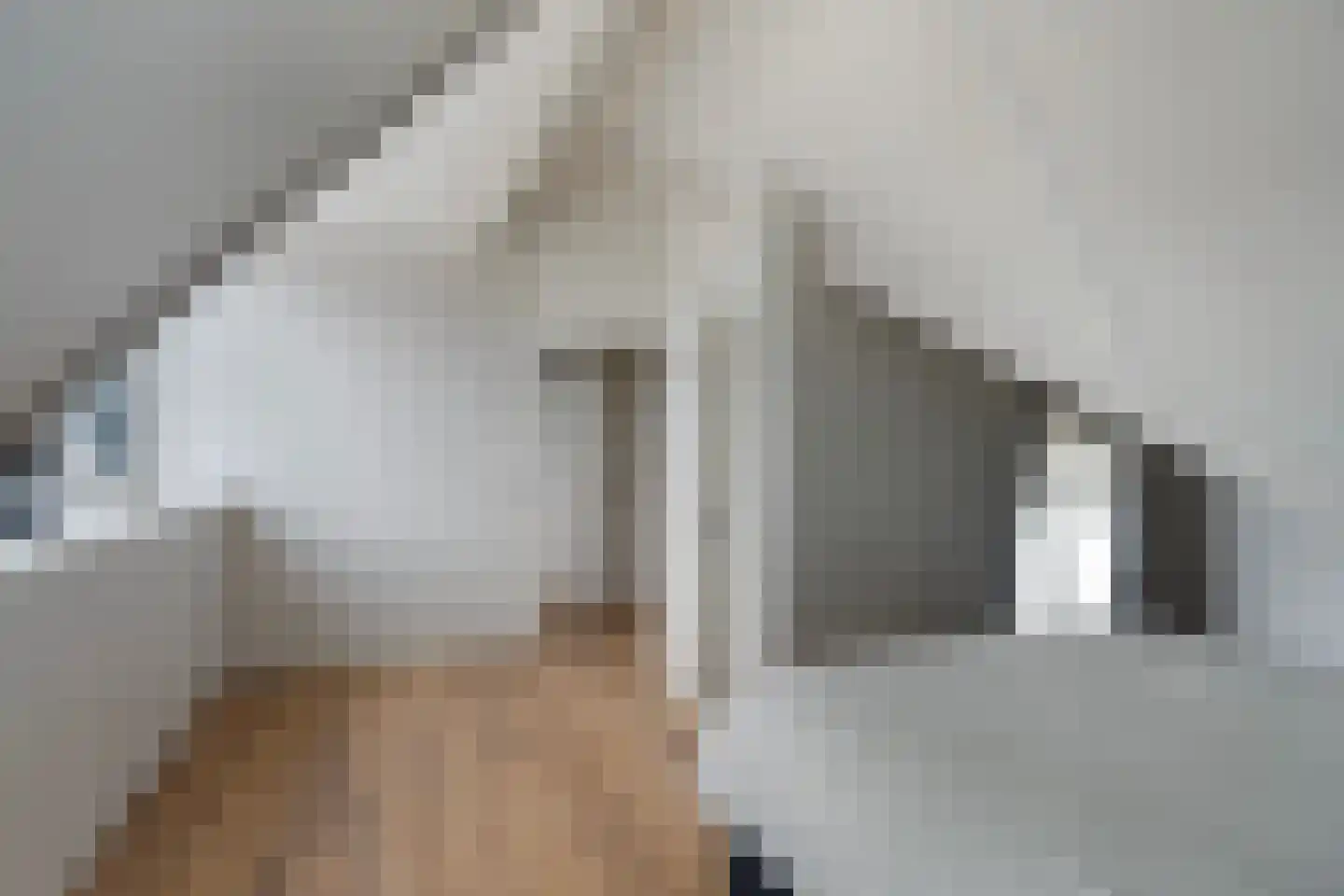 Keizersmantelzoom 15 Pijnacker thumbnail 38