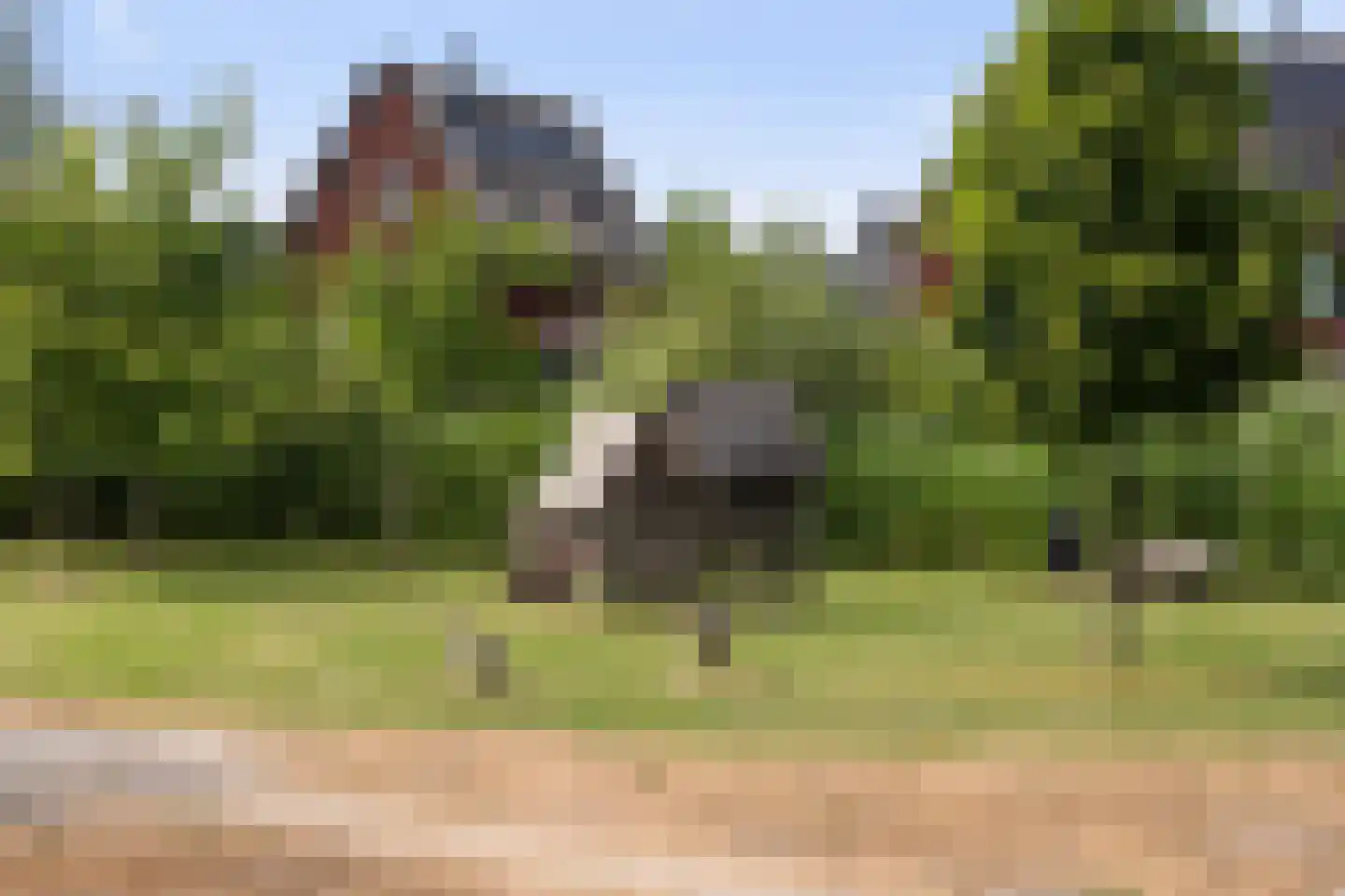 Keizersmantelzoom 15 Pijnacker thumbnail 41