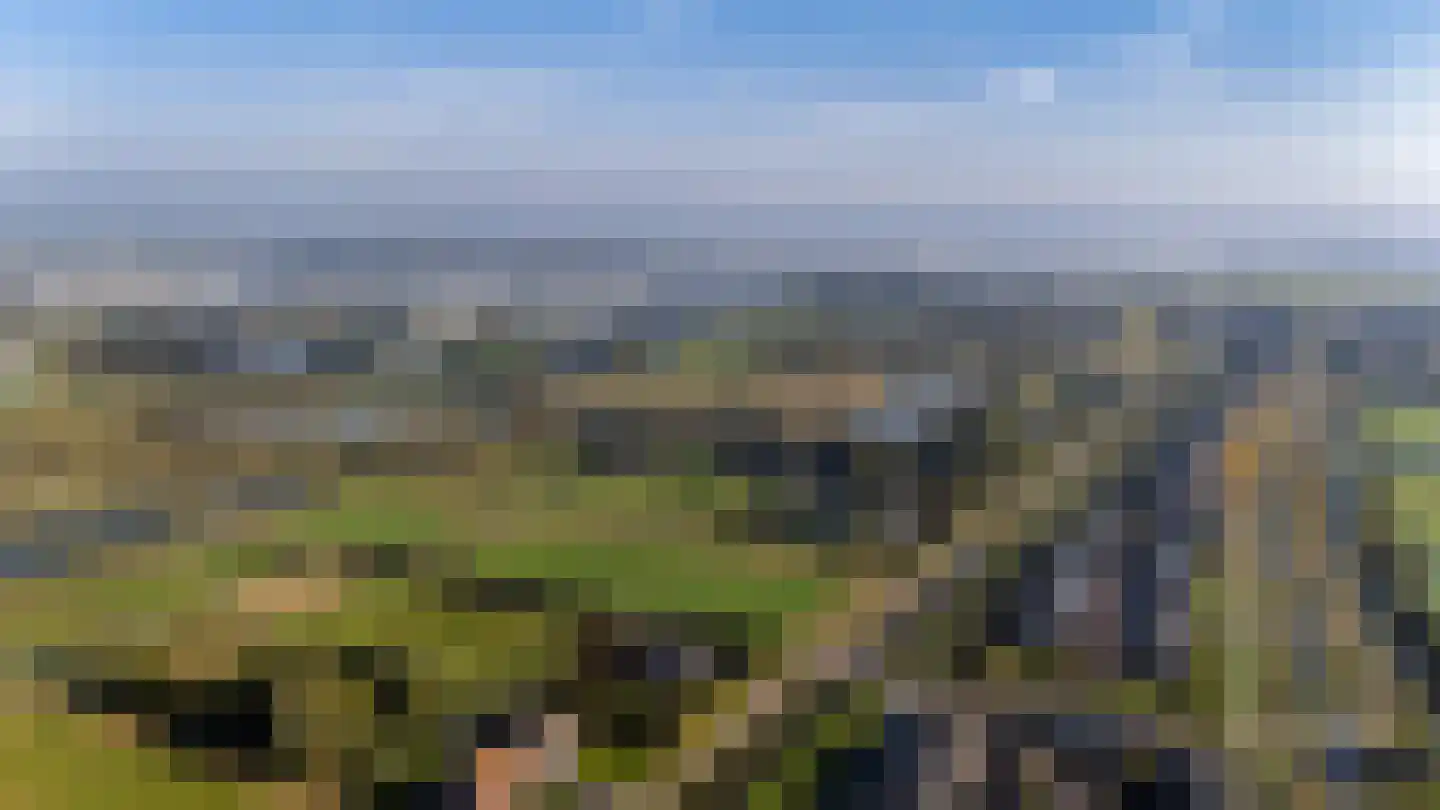 Keizersmantelzoom 15 Pijnacker thumbnail 43