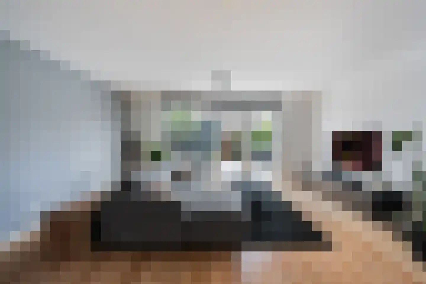 Keizersmantelzoom 15 Pijnacker thumbnail 6