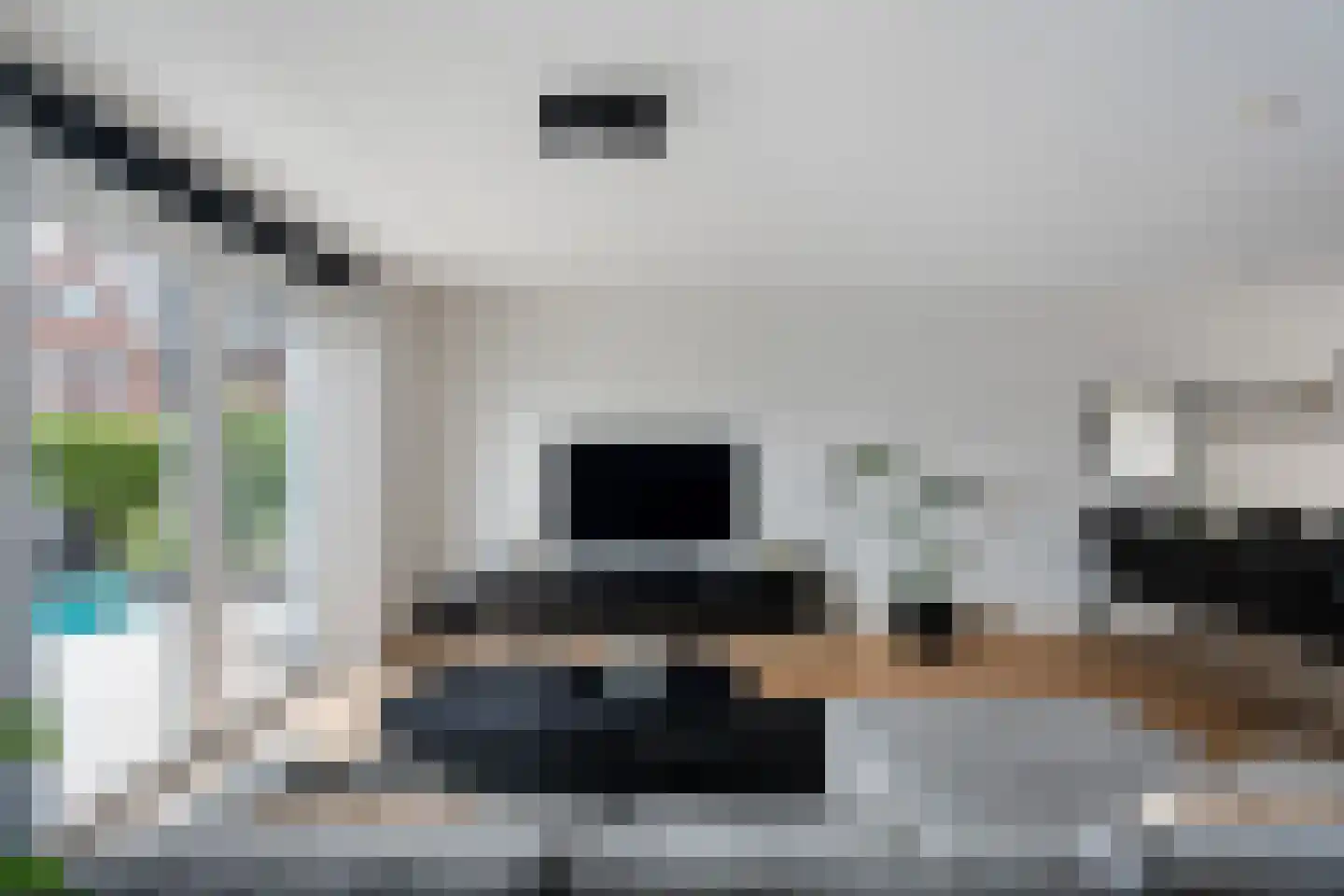 Keizersmantelzoom 15 Pijnacker thumbnail 9