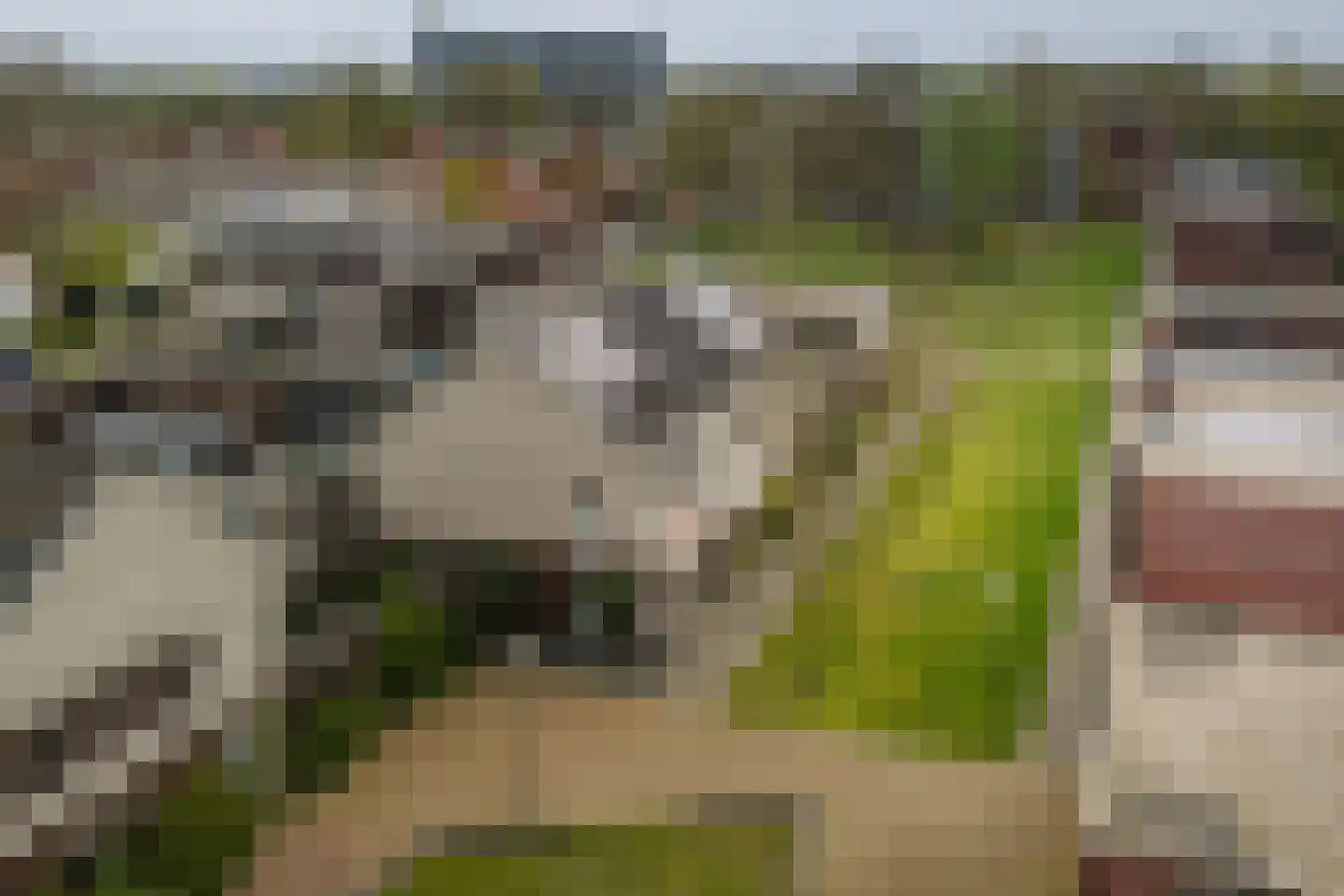 Keizerspad 17 Deventer thumbnail 36
