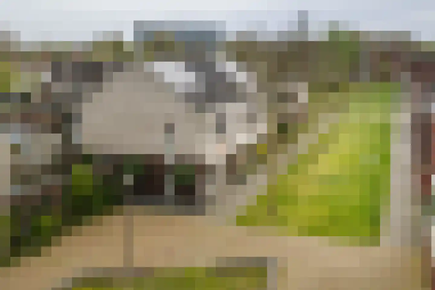 Keizerspad 17 Deventer thumbnail 37