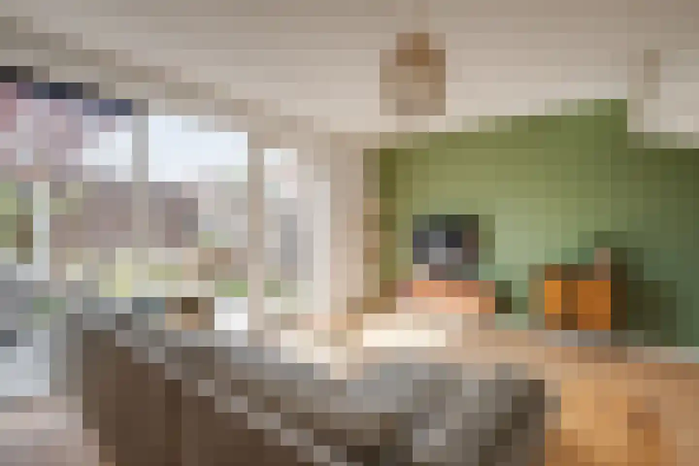 Keizerspad 40 Deventer thumbnail 12