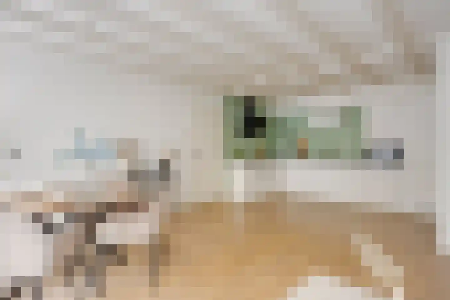 Keizerstraat 1 A Utrecht thumbnail 9