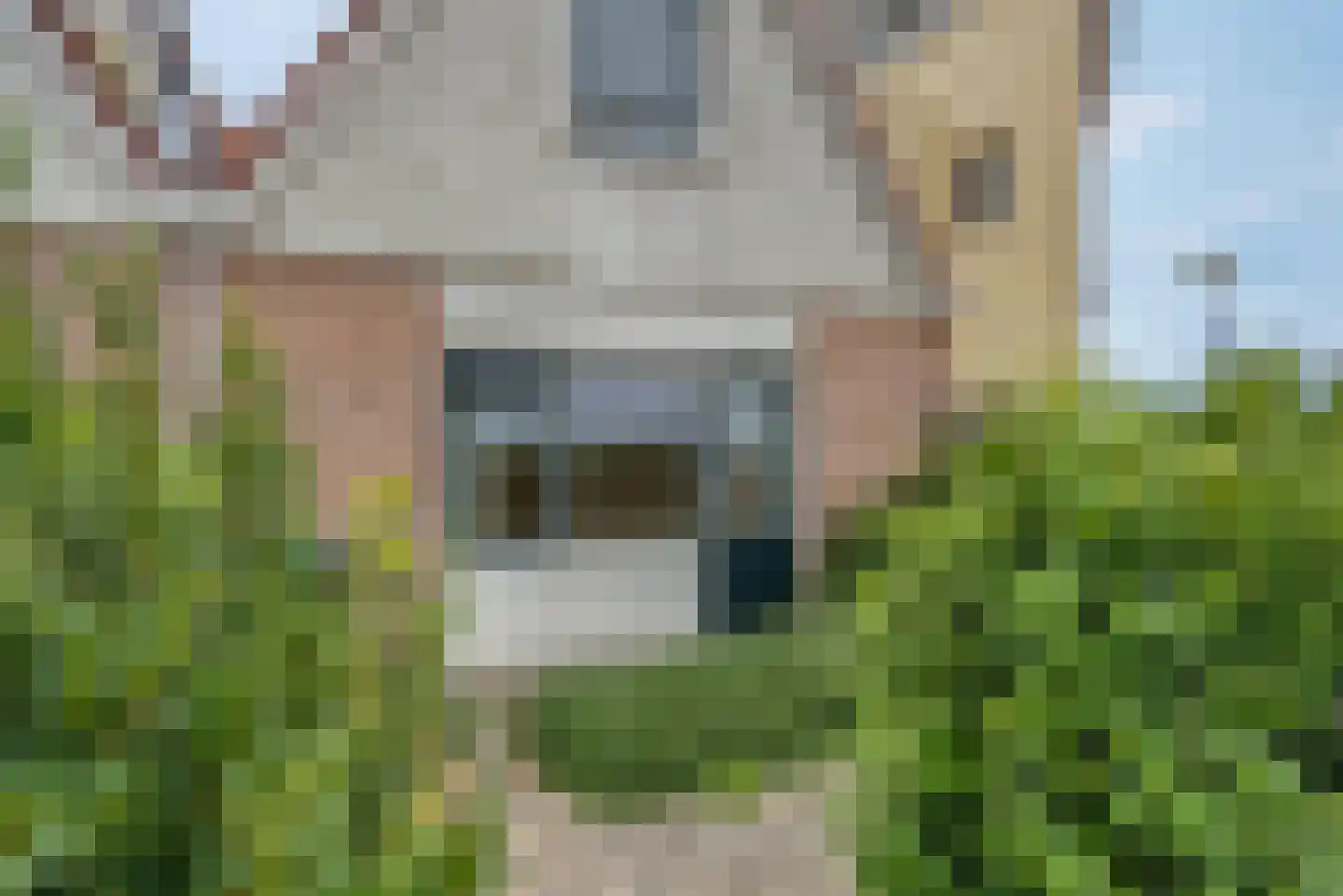 Keizerstraat 10 Kampen thumbnail 13