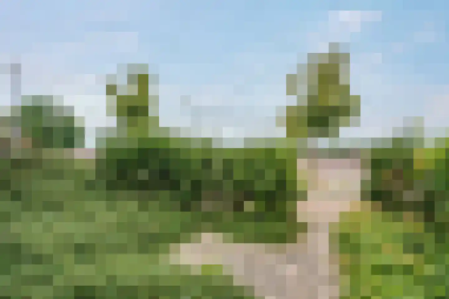 Keizerstraat 10 Kampen thumbnail 14