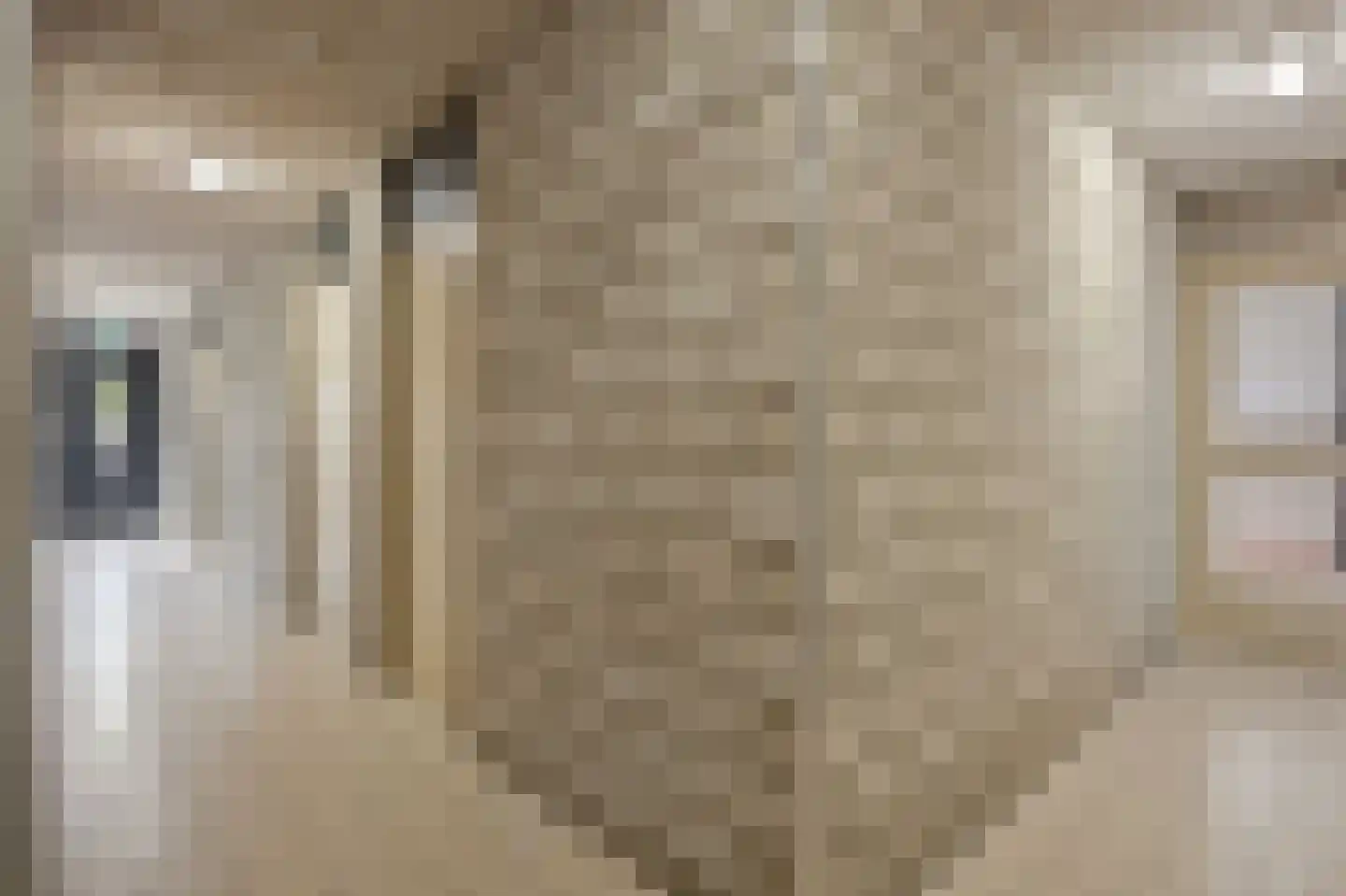 Keizerstraat 10 Rosmalen thumbnail 37